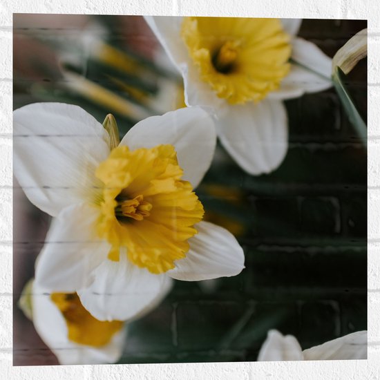 WallClassics - Muursticker - Multiflora Narcis Bloem in het Wit/Geel - 50x50 cm Foto op Muursticker