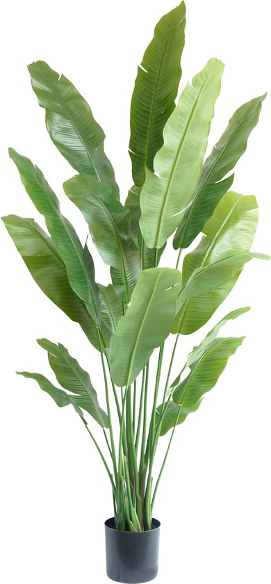 Greenmoods Kunstplanten - Kunstplanten - Strelitzia Nicolai Deluxe - Zijde - 200 cm