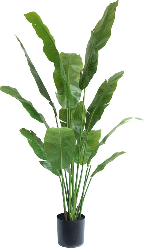 Greenmoods Kunstplanten - Kunstplanten - Strelitzia Nicolai Deluxe - Zijde - 165 cm