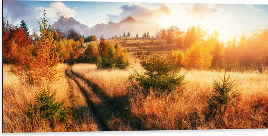 Dibond - Felle Zon over Landschap met Oranje Bomen en Droge Grassen - 100x50 cm Foto op Aluminium (Wanddecoratie van metaal)