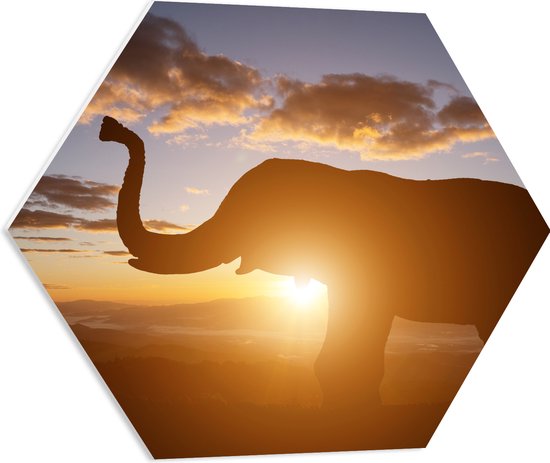 PVC Schuimplaat Hexagon - Zonnestralen achter Olifant omringd door Wolken - 60x52.2 cm Foto op Hexagon (Met Ophangsysteem)