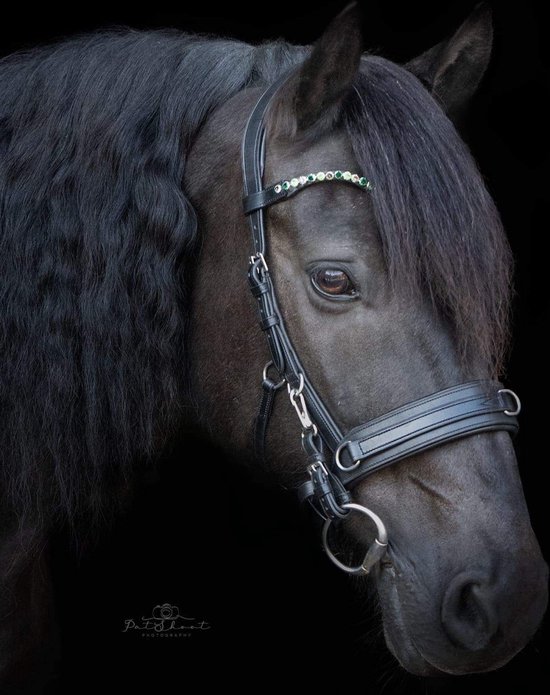 Foto: On horses browband green full v frontriem groen full