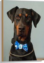 WallClassics - Hout - Hond met Blauwe Strik - 50x75 cm - 9 mm dik - Foto op Hout (Met Ophangsysteem)
