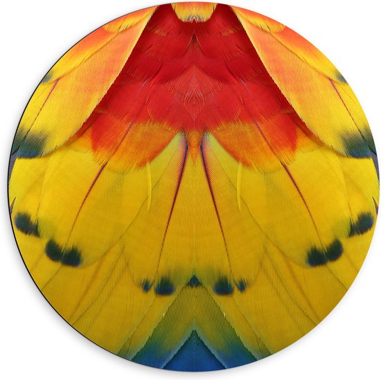 Dibond Muurcirkel - Close-up van Kleurrijke Veren - 60x60 cm Foto op Aluminium Muurcirkel (met ophangsysteem)