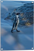 Tuinposter – Pingïun lopend langs Rots op het Strand - 50x75 cm Foto op Tuinposter (wanddecoratie voor buiten en binnen)