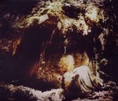 Wolves In The Throne Room - Celestial Lineage (CD)