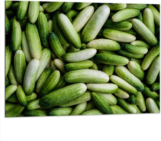 Dibond - Hoopje Groene Komkommers - 100x75 cm Foto op Aluminium (Wanddecoratie van metaal)