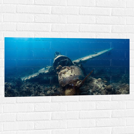 WallClassics - Muursticker - Vliegtuigwrak op Bodem van Oceaan - 100x50 cm Foto op Muursticker