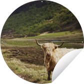 Tuincirkel Schotse Hooglander - Pad - Bos - 120x120 cm - Ronde Tuinposter - Buiten XXL / Groot formaat!