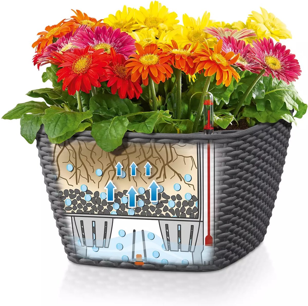 Lechuza Bacino Cottage - Jardinière - pot intérieur amovible