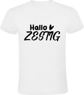 Hallo Zestig Heren T-shirt | Jarig | Verjaardag | Feest | 60 jaar