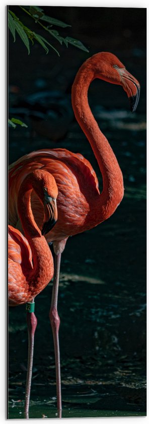 WallClassics - Dibond - Flamingo Duo tussen Groene Takken - 30x90 cm Foto op Aluminium (Wanddecoratie van metaal)
