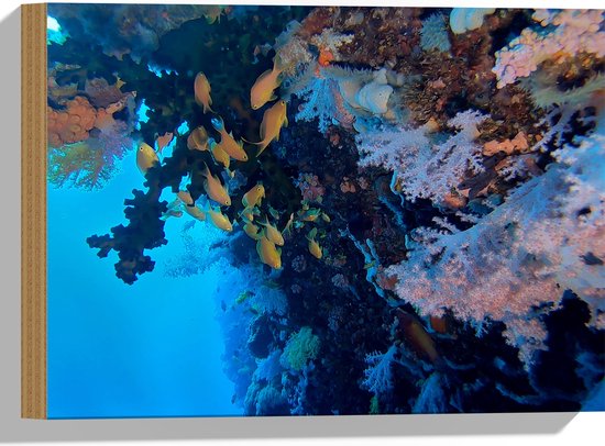 WallClassics - Hout - Gele Vissen bij Koraal in de Zee - 40x30 cm - 9 mm dik - Foto op Hout (Met Ophangsysteem)