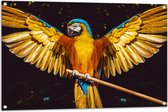WallClassics - Tuinposter – Blauw met Gele Are Papegaai met Gespreide Vleugels - 105x70 cm Foto op Tuinposter (wanddecoratie voor buiten en binnen)