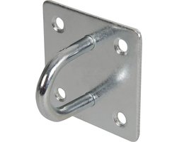 Fixman Kettingplaat - Gegalvaniseerd oog - Grondplaat 50x50 mm - Roestbestendig