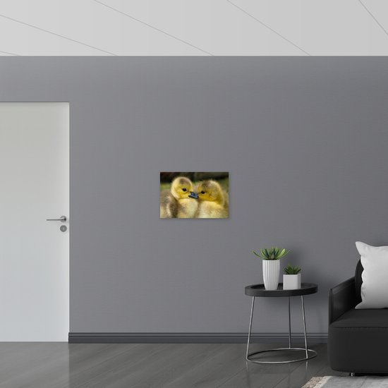 WallClassics - Drapeau - Poussins Jaunes Câlins - 60x40 cm Photo sur Drapeau Polyester