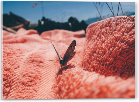 Acrylglas - Vlinder Zittend op Roze Handdoek - 40x30 cm Foto op Acrylglas (Wanddecoratie op Acrylaat)