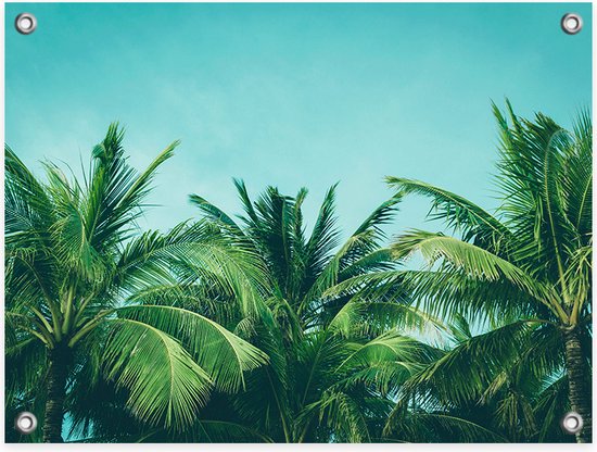 Tuinposter Palm Leaves