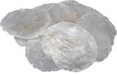 Othmar Décorations Décoration/ hobby coquilles d'huîtres - 1 kg - naturel