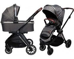 Ding Fenix Kinderwagen Grijs Met Zilver