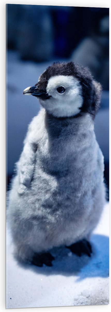 Acrylglas - Baby Pinguïn in de Sneeuw - 40x120 cm Foto op Acrylglas (Wanddecoratie op Acrylaat)