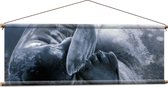WallClassics - Affiche Textile - Sceau Gêné - 120x40 cm Photo sur Textile