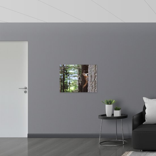 WallClassics - Drapeau - Écureuil grimpant sur un tronc d'arbre - Photo 80x60 cm sur drapeau en polyester