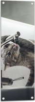 WallClassics - Tuinposter – Grijze Kat drinkend uit Kraan - 30x90 cm Foto op Tuinposter (wanddecoratie voor buiten en binnen)