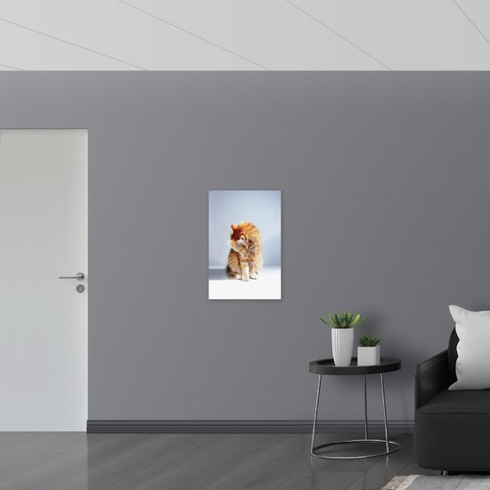 WallClassics - Panneau en mousse PVC - Chat Oranje se cachant sur fond Witte - Photo 50x75 cm sur panneau en mousse PVC (avec système de suspension)