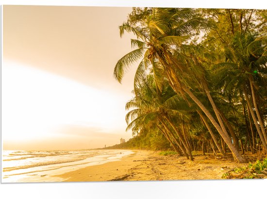 PVC Schuimplaat- Kokosnoot Palmbomen aan het Strand tijdens Felle Zonsopkomst - 75x50 cm Foto op PVC Schuimplaat
