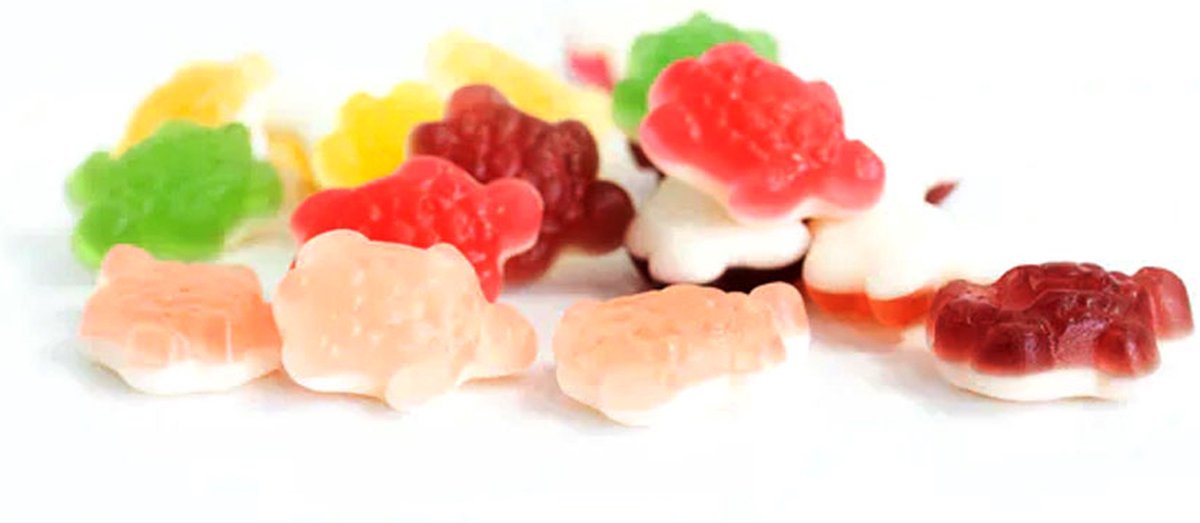 Frisia Fruitgum Schildpadden - 3 kilo (2 x 1,5 kilo)
