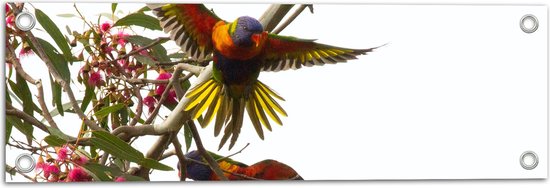 WallClassics - Tuinposter – Twee Parkieten met Gespreide Vleugels in Bloementakken - 60x20 cm Foto op Tuinposter (wanddecoratie voor buiten en binnen)