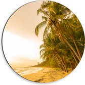 Dibond Muurcirkel - Kokosnoot Palmbomen aan het Strand tijdens Felle Zonsopkomst - 30x30 cm Foto op Aluminium Muurcirkel (met ophangsysteem)