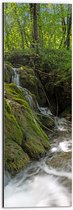Dibond - Kleine Watervallen Stromend in Riviertje in het Bos - 20x60 cm Foto op Aluminium (Wanddecoratie van metaal)
