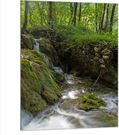 Dibond - Kleine Watervallen Stromend in Riviertje in het Bos - 75x100 cm Foto op Aluminium (Wanddecoratie van metaal)