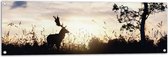 WallClassics - Tuinposter – Silhouet van Hert in Veld met Boom - 120x40 cm Foto op Tuinposter (wanddecoratie voor buiten en binnen)