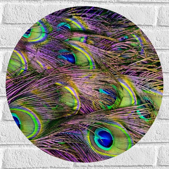 Muursticker Cirkel - Gekleurde Pauwen Veren - 50x50 cm Foto op Muursticker