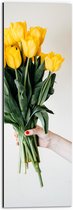 Dibond - Geel Tulpen Boeket in Vrouwenhand tegen Witte Muur - 20x60 cm Foto op Aluminium (Met Ophangsysteem)