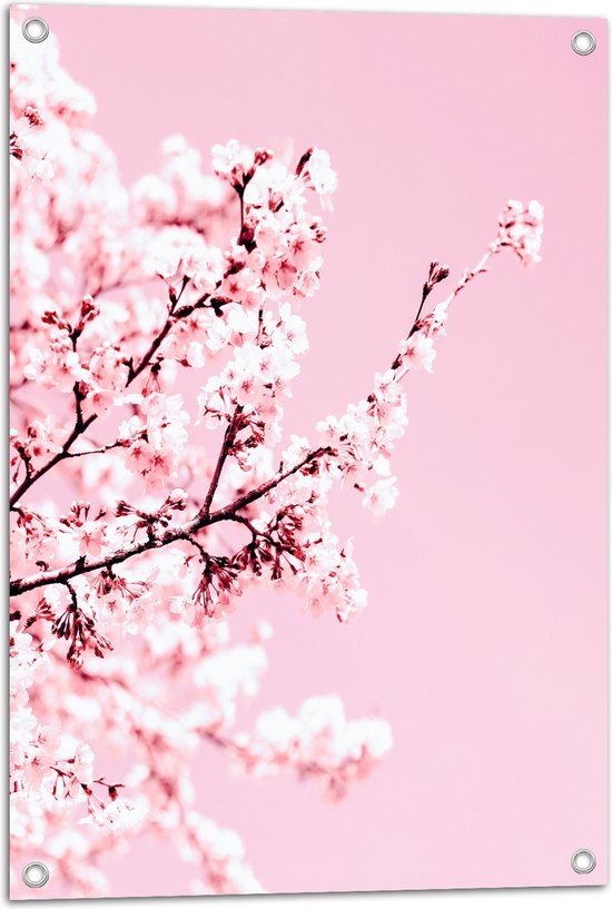 Tuinposter – Bloesem Volgroeide Boom tegen Roze Lucht - 50x75 cm Foto op Tuinposter (wanddecoratie voor buiten en binnen)