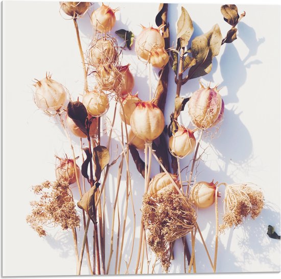 Acrylglas - Stapel Gedroogde Bloemen met Schaduw tegen Witte Achtergrond - 50x50 cm Foto op Acrylglas (Wanddecoratie op Acrylaat)