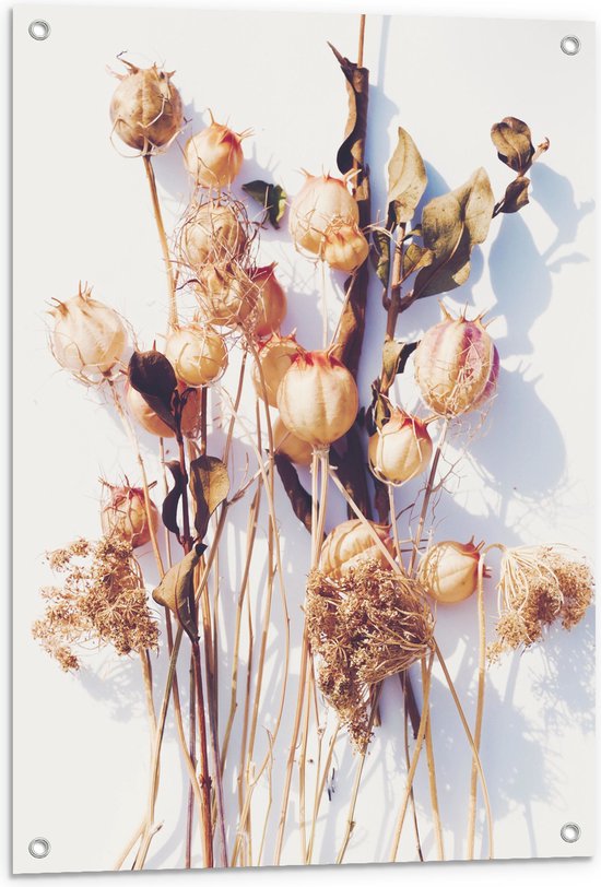 Tuinposter – Stapel Gedroogde Bloemen met Schaduw tegen Witte Achtergrond - 60x90 cm Foto op Tuinposter (wanddecoratie voor buiten en binnen)