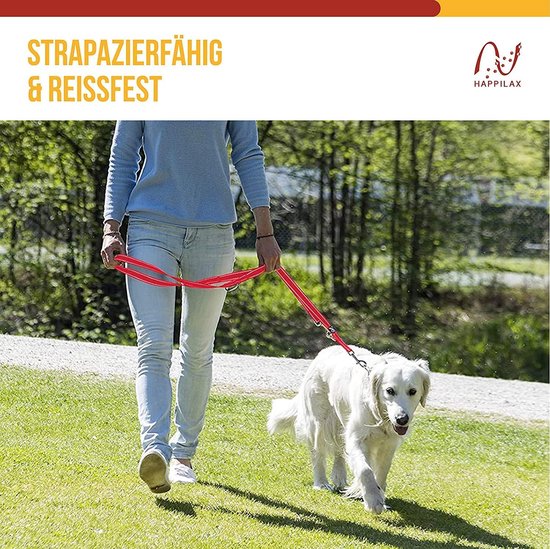 Ddoxx® Hondenriem, Nylon, Reflecterend, 3 Voudig Verstelbaar, 2m Voor Kleine Grote Honden Dubbele Riem Sleepriem Wandelen S Geel 550099817