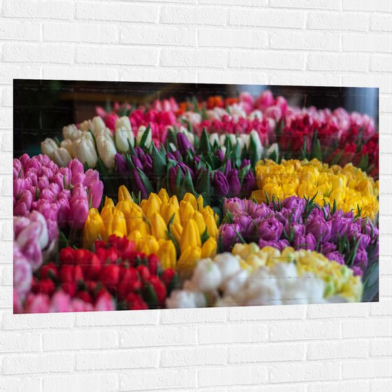 Muursticker - Groep Tulpen Boeketten in Verschillende Kleuren - 120x80 cm Foto op Muursticker