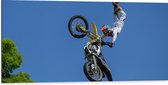 WallClassics - Dibond - Freestyle Motocross boven Boom - 100x50 cm Foto op Aluminium (Wanddecoratie van metaal)