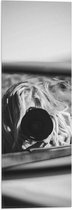 WallClassics - Vlag - Fotograaf in Autospiegel (zwart-wit) - 20x60 cm Foto op Polyester Vlag