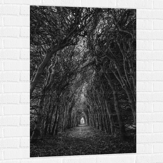 Muursticker - Tunnel van Kale Dichtbegroeide Bomen (Zwart- wit) - 70x105 cm Foto op Muursticker