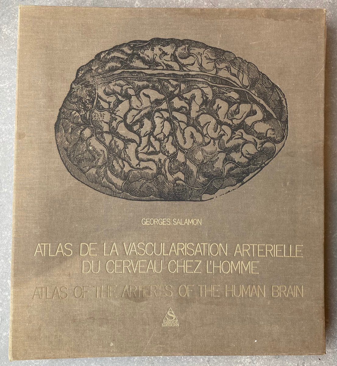 健康・医学 ATLAS DE LA VASCULARISATION ARTERIELLE Atlas de la Vascularisation arterielle du cerveau chez l'homme