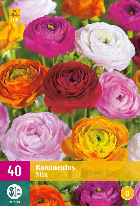 Holand Ranunculus Ranunculus mix - 40st - Bloembollen - JUB Holland | bol