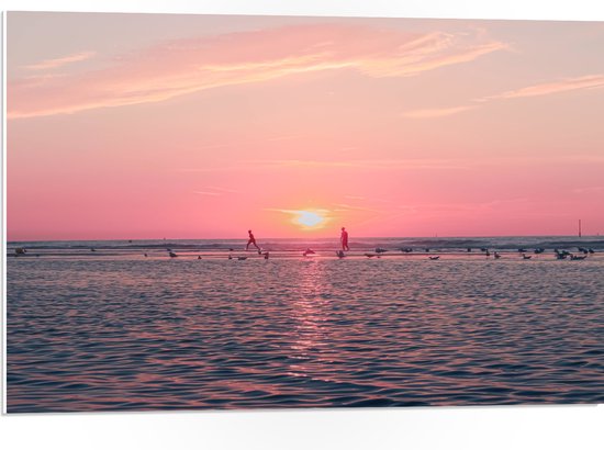 PVC Schuimplaat- Roze Zonsondergang aan Zee met Meeuwen - 75x50 cm Foto op PVC Schuimplaat