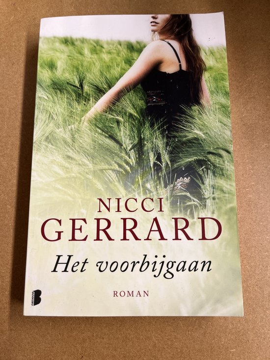 Voorbijgaan / druk Heruitgave - cover